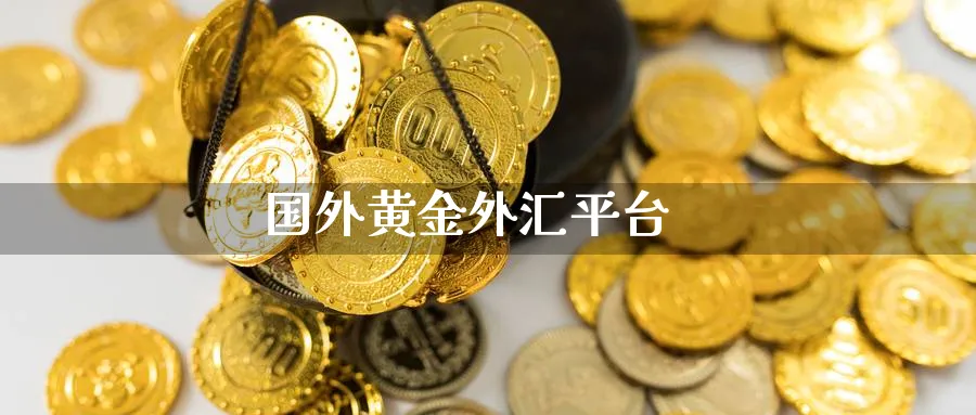 国外黄金外汇平台_https://www.51pinbao.com_黄金直播室_第1张