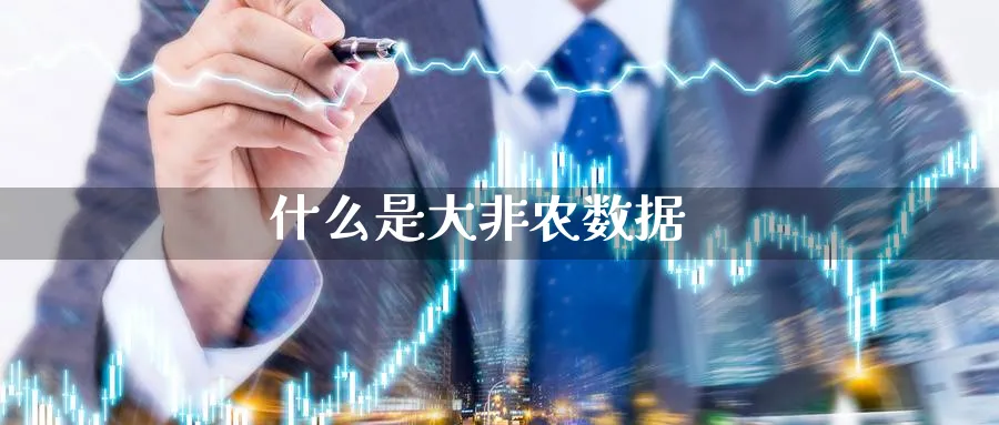 什么是大非农数据_纳指直播室_第1张_51期货直播网 什么是大非农数据_https://www.51pinbao.com_纳指直播室_第1张