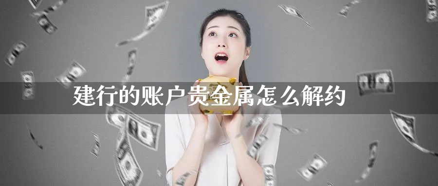建行的账户贵金属怎么解约_期货直播室_第1张_51期货直播网 建行的账户贵金属怎么解约_https://www.51pinbao.com_期货直播室_第1张