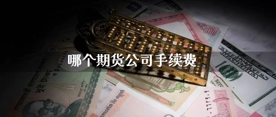 哪个期货公司手续费_https://www.51pinbao.com_黄金直播室_第1张