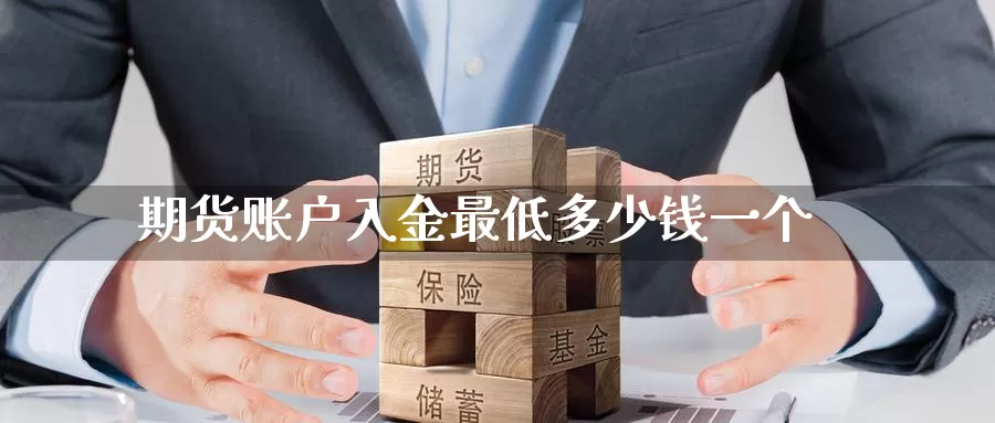期货账户入金最低多少钱一个_https://www.51pinbao.com_期货直播室_第1张
