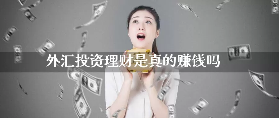 外汇投资理财是真的赚钱吗_https://www.51pinbao.com_纳指直播室_第1张