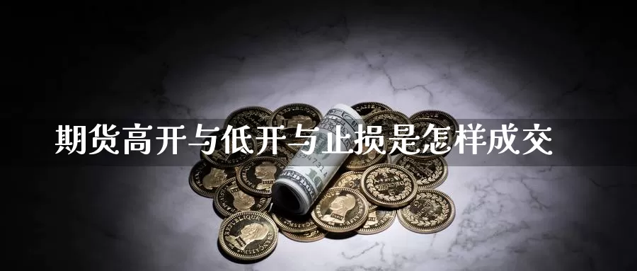 期货高开与低开与止损是怎样成交_期货直播室_第1张_51期货直播网 期货高开与低开与止损是怎样成交_https://www.51pinbao.com_期货直播室_第1张