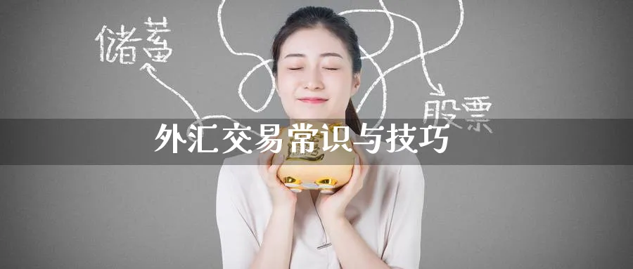 外汇交易常识与技巧_纳指直播室_第1张_51期货直播网 外汇交易常识与技巧_https://www.51pinbao.com_纳指直播室_第1张