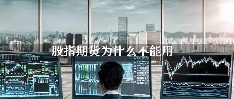 股指期货为什么不能用_https://www.51pinbao.com_恒指直播室_第1张