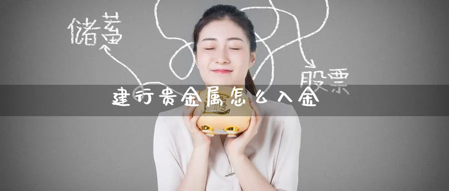 建行贵金属怎么入金_https://www.51pinbao.com_恒指直播室_第1张