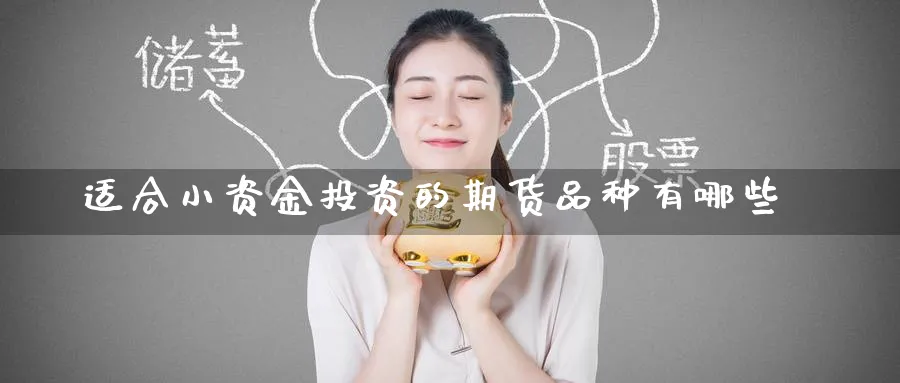 适合小资金投资的期货品种有哪些_期货直播室_第1张_51期货直播网 适合小资金投资的期货品种有哪些_https://www.51pinbao.com_期货直播室_第1张