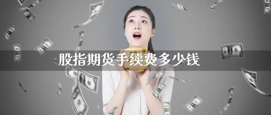 股指期货手续费多少钱_https://www.51pinbao.com_原油直播室_第1张