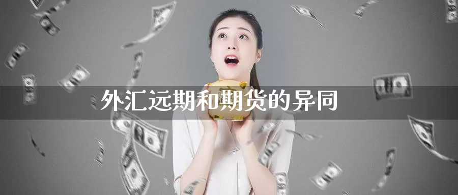 外汇远期和期货的异同_https://www.51pinbao.com_恒指直播室_第1张