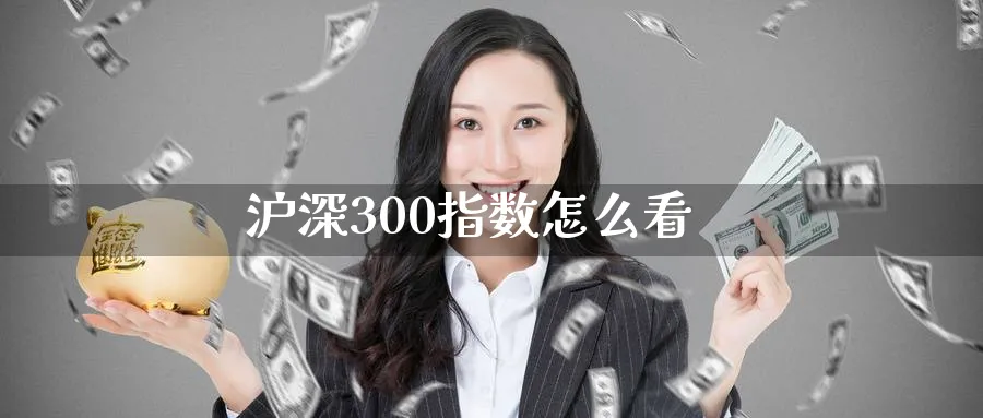 沪深300指数怎么看_https://www.51pinbao.com_原油直播室_第1张