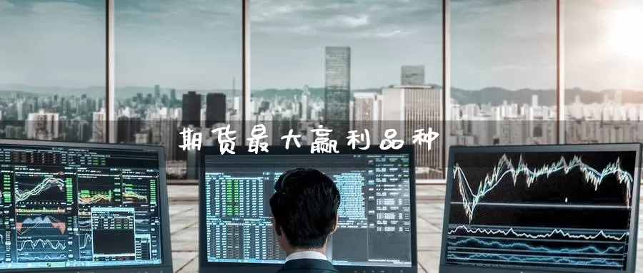 期货最大赢利品种_https://www.51pinbao.com_恒指直播室_第1张