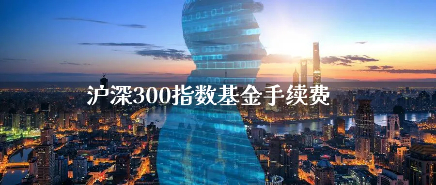 沪深300指数基金手续费_https://www.51pinbao.com_期货直播室_第1张