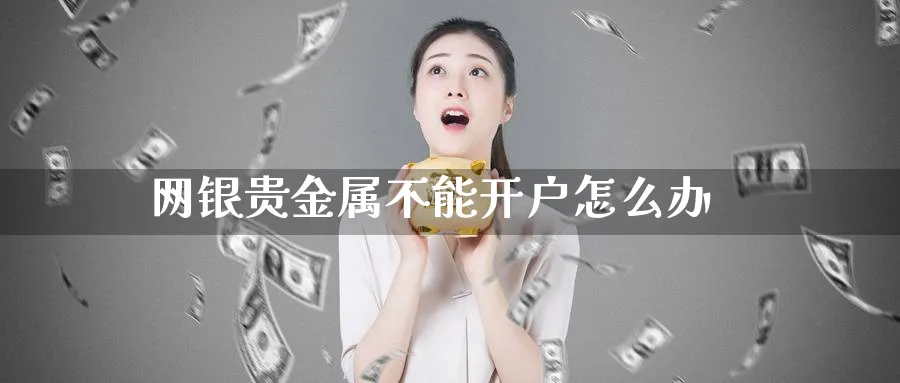 网银贵金属不能开户怎么办_https://www.51pinbao.com_纳指直播室_第1张