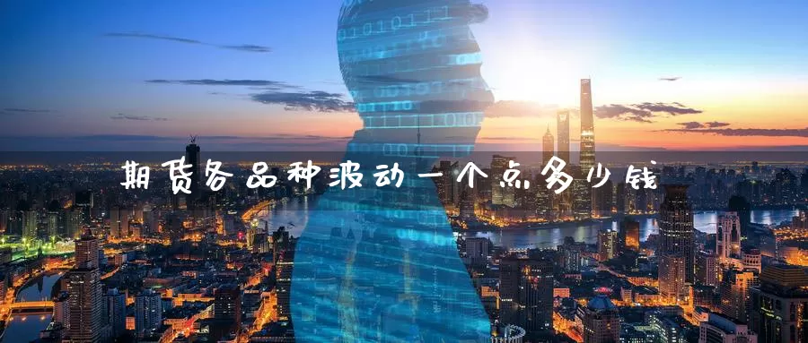 期货各品种波动一个点多少钱_https://www.51pinbao.com_纳指直播室_第1张