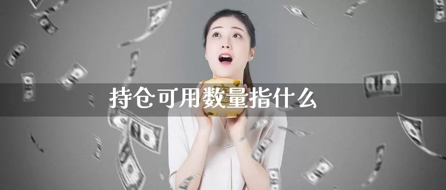 持仓可用数量指什么_https://www.51pinbao.com_期货直播室_第1张