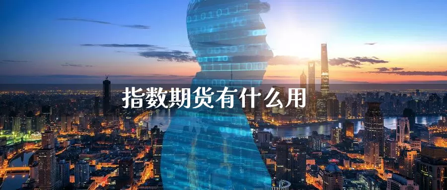 指数期货有什么用_期货直播室_第1张_51期货直播网 指数期货有什么用_https://www.51pinbao.com_期货直播室_第1张