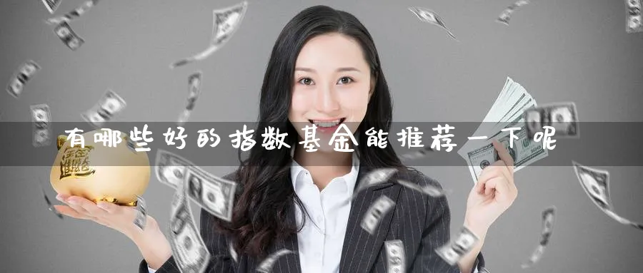有哪些好的指数基金能推荐一下呢_https://www.51pinbao.com_原油直播室_第1张