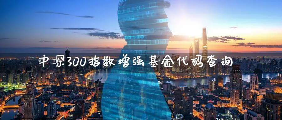 沪深300指数增强基金代码查询_https://www.51pinbao.com_期货直播室_第1张