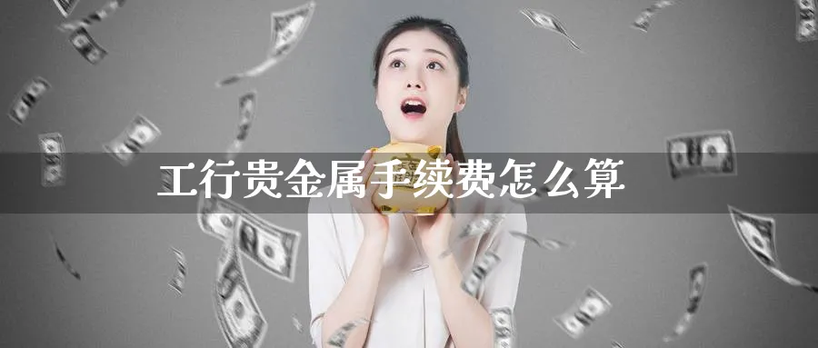 工行贵金属手续费怎么算_https://www.51pinbao.com_恒指直播室_第1张