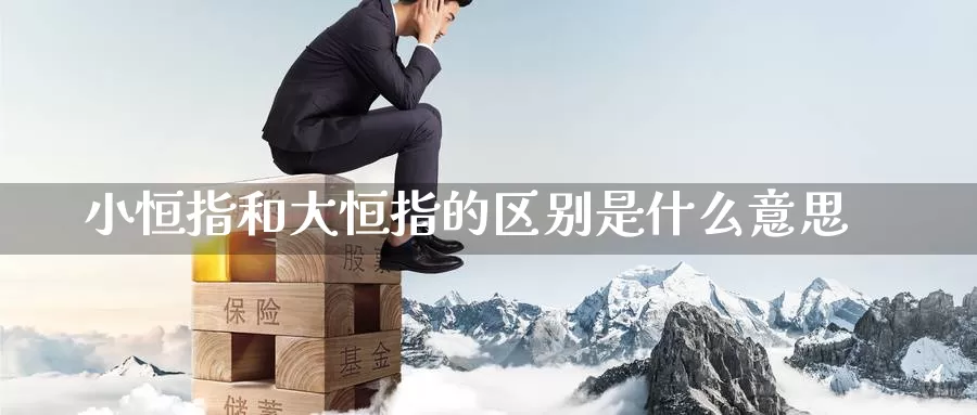 小恒指和大恒指的区别是什么意思_https://www.51pinbao.com_恒指直播室_第1张