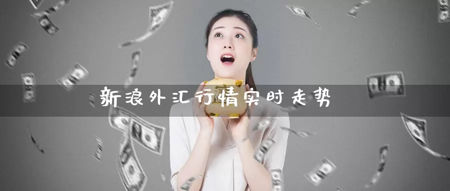 新浪外汇行情实时走势_https://www.51pinbao.com_恒指直播室_第1张