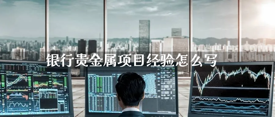 银行贵金属项目经验怎么写_https://www.51pinbao.com_恒指直播室_第1张