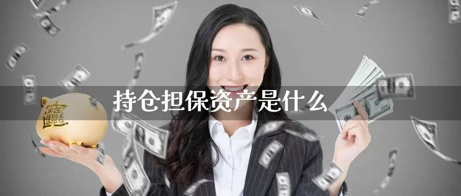 持仓担保资产是什么_https://www.51pinbao.com_恒指直播室_第1张
