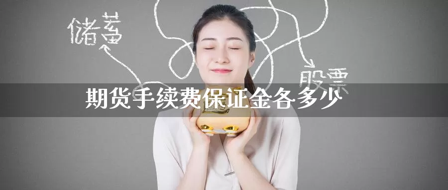 期货手续费保证金各多少_https://www.51pinbao.com_黄金直播室_第1张