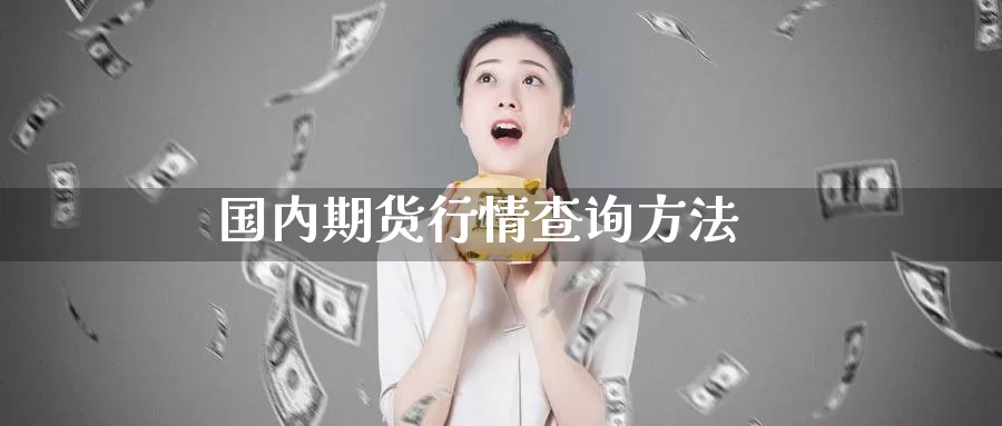 国内期货行情查询方法_https://www.51pinbao.com_期货直播室_第1张