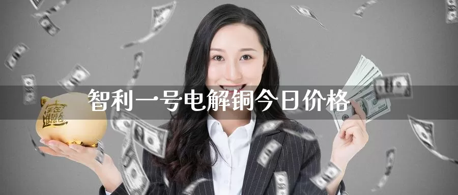 智利一号电解铜今日价格_https://www.51pinbao.com_恒指直播室_第1张