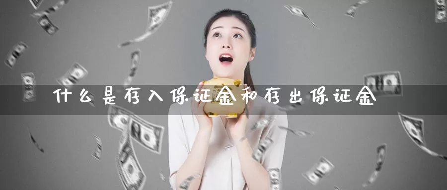什么是存入保证金和存出保证金_https://www.51pinbao.com_期货直播室_第1张