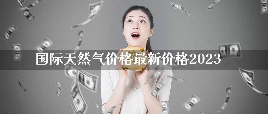 国际天然气价格最新价格2023_期货直播室_第1张_51期货直播网 国际天然气价格最新价格2023_https://www.51pinbao.com_期货直播室_第1张