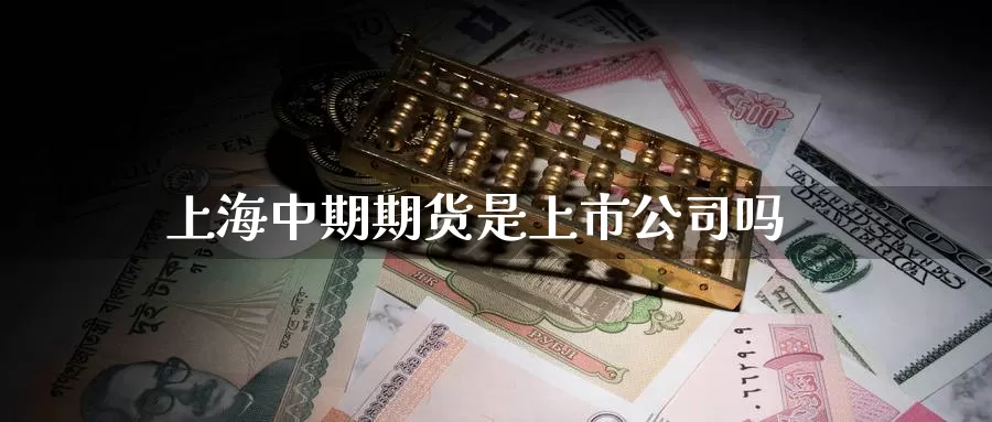 上海中期期货是上市公司吗_https://www.51pinbao.com_德指直播室_第1张