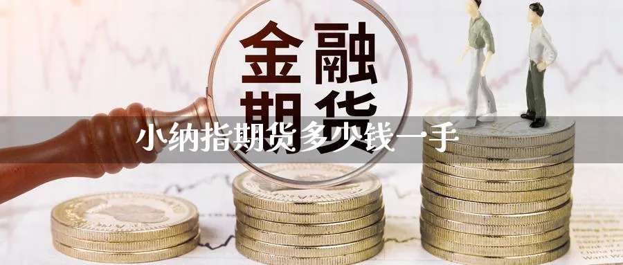 小纳指期货多少钱一手_https://www.51pinbao.com_期货直播室_第1张
