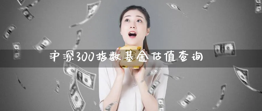沪深300指数基金估值查询_https://www.51pinbao.com_期货直播室_第1张
