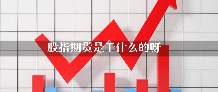 股指期货是干什么的呀_https://www.51pinbao.com_恒指直播室_第1张