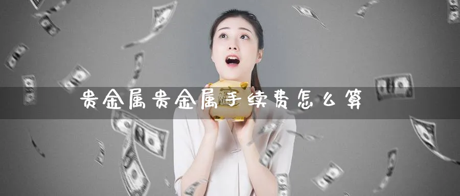 贵金属贵金属手续费怎么算_https://www.51pinbao.com_纳指直播室_第1张