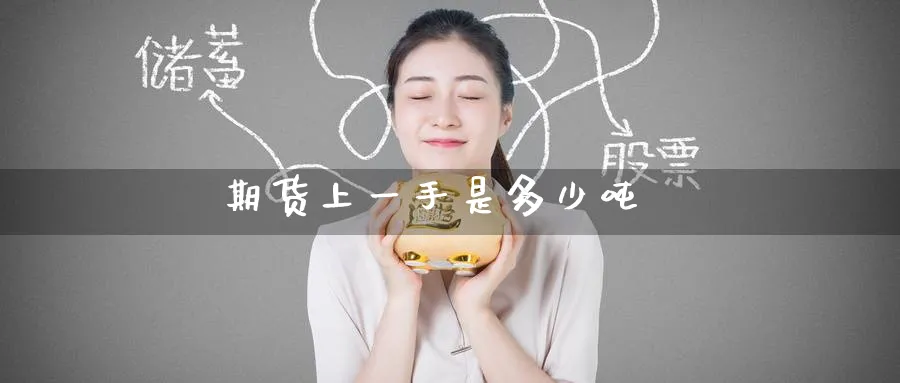 期货上一手是多少吨_https://www.51pinbao.com_恒指直播室_第1张