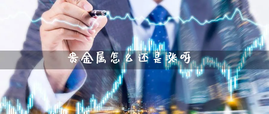 贵金属怎么还是涨呀_https://www.51pinbao.com_恒指直播室_第1张