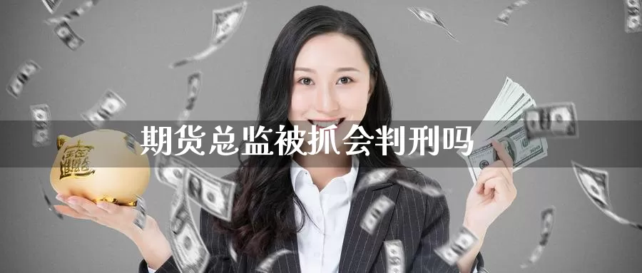 期货总监被抓会判刑吗_https://www.51pinbao.com_恒指直播室_第1张