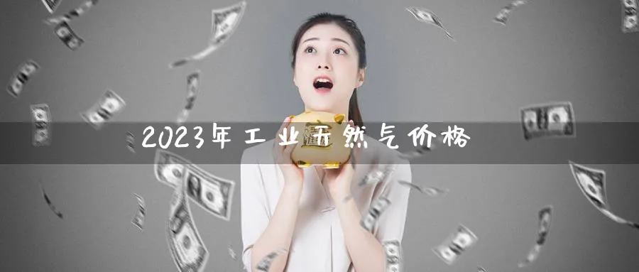 2023年工业天然气价格_原油直播室_第1张_51期货直播网 2023年工业天然气价格_https://www.51pinbao.com_原油直播室_第1张