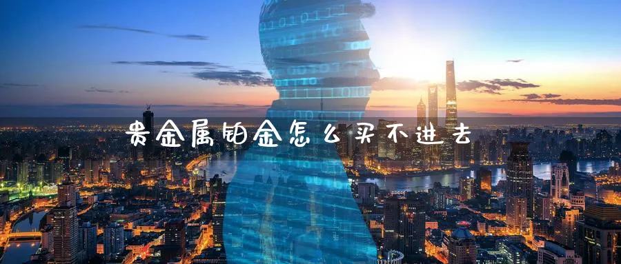 贵金属铂金怎么买不进去_https://www.51pinbao.com_原油直播室_第1张