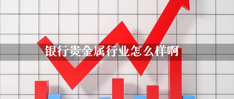 银行贵金属行业怎么样啊_https://www.51pinbao.com_恒指直播室_第1张