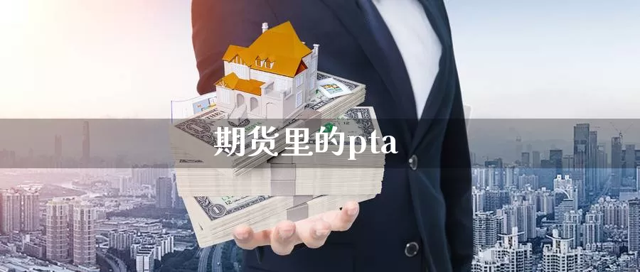 期货里的pta_https://www.51pinbao.com_恒指直播室_第1张