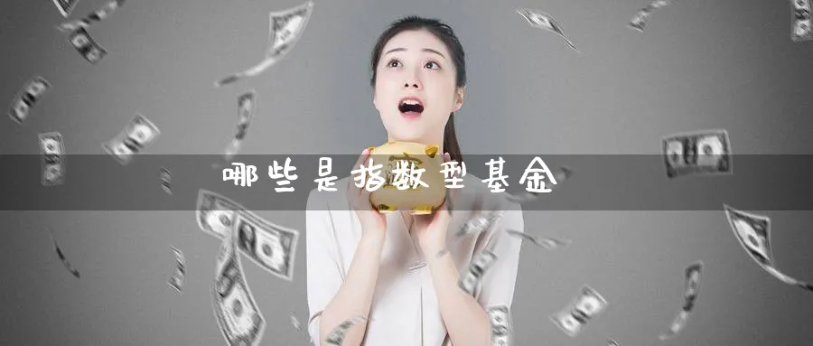 哪些是指数型基金_https://www.51pinbao.com_期货直播室_第1张