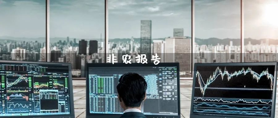 非农报告_原油直播室_第1张_51期货直播网 非农报告_https://www.51pinbao.com_原油直播室_第1张