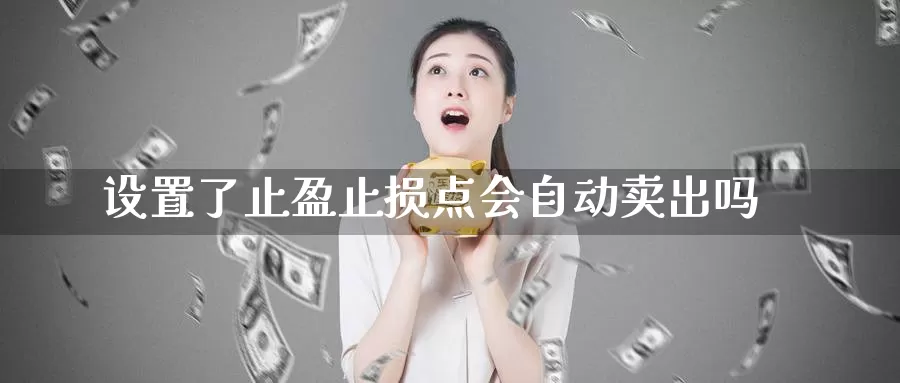 设置了止盈止损点会自动卖出吗_https://www.51pinbao.com_纳指直播室_第1张