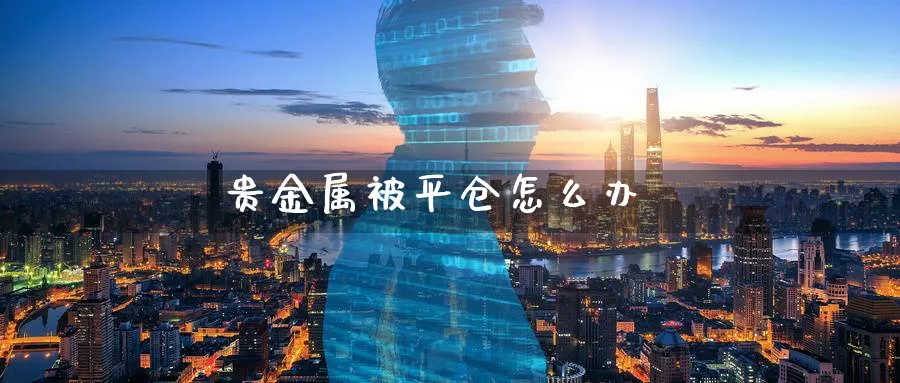 贵金属被平仓怎么办_https://www.51pinbao.com_恒指直播室_第1张