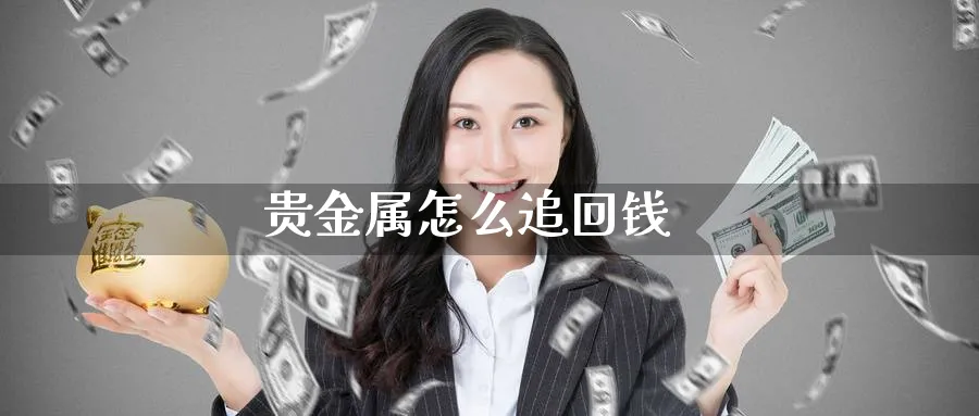 贵金属怎么追回钱_https://www.51pinbao.com_原油直播室_第1张