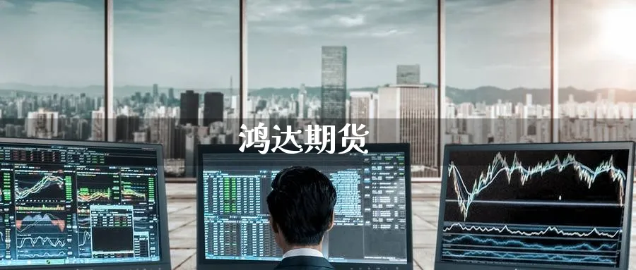 鸿达期货_https://www.51pinbao.com_期货直播室_第1张